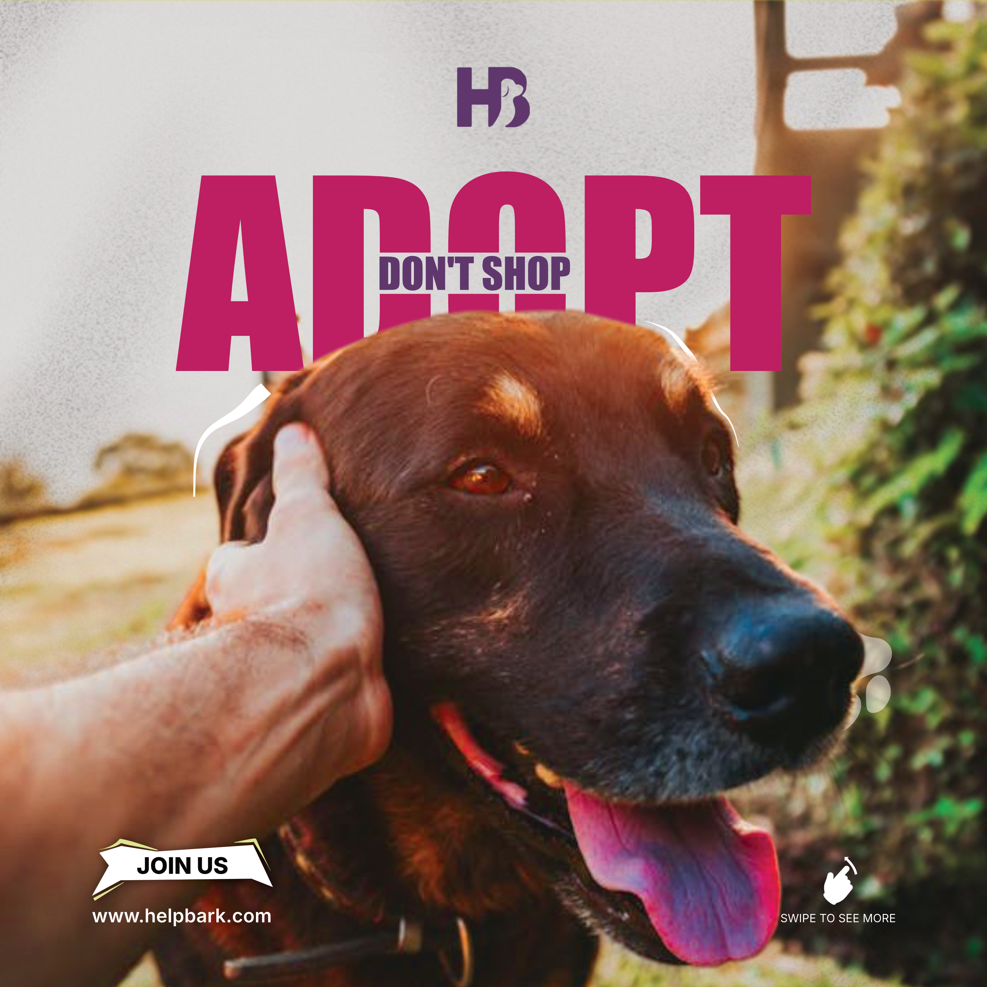 HelpBark Adopt Feature